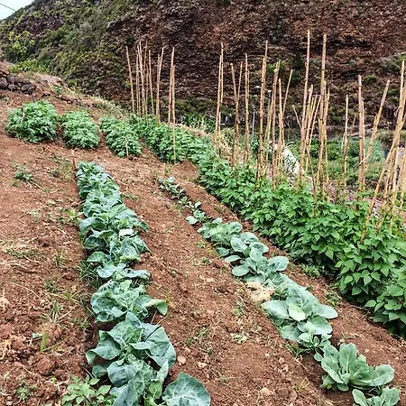 Ecoquinta Faial * Santana (Madeira)